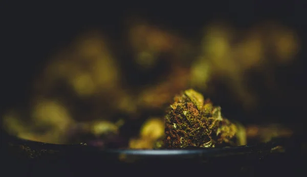 Macro Gros Plan Herbe Bourgeon Cannabis — Photo