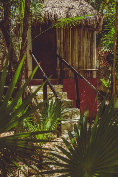 メキシコのジャングルの中の伝統的なパラパ小屋の素敵なシーン — ストック写真
