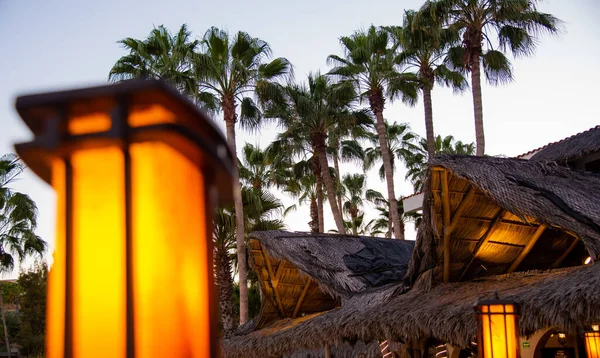 ビーチレストランのコンセプト 暖かいライトキャンドル パーム — ストック写真