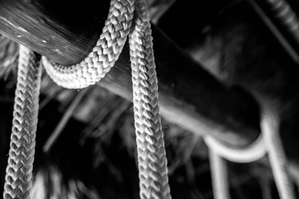 Swing Rope Close — Stock Photo, Image