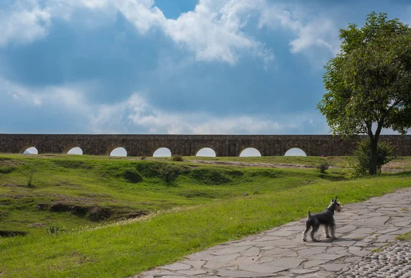 メキシコのテトゾトラン アルコス シティオ 生態公園では 水路の周りの美しい緑の地域でエコツーリズムや家族活動を実践することができます — ストック写真