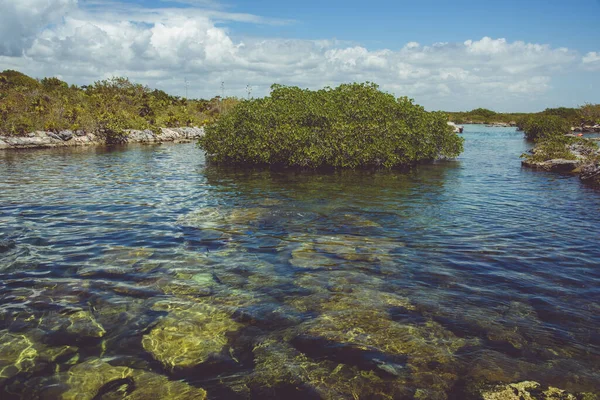Hermosa Vista Las Aguas Cristalinas Laguna Azul Turquesa Del Caribe —  Fotos de Stock