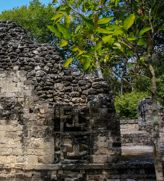 Chicanna Arkeolojik Maya Kalıntılarının Ayrıntıları Meksika — Stok fotoğraf