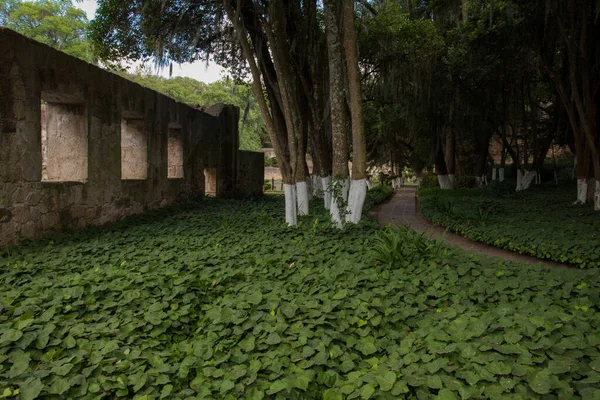 Beautiful View Old Plantation Hacienda San Miguel Regla Hidalgo Mexico — Stock Photo, Image