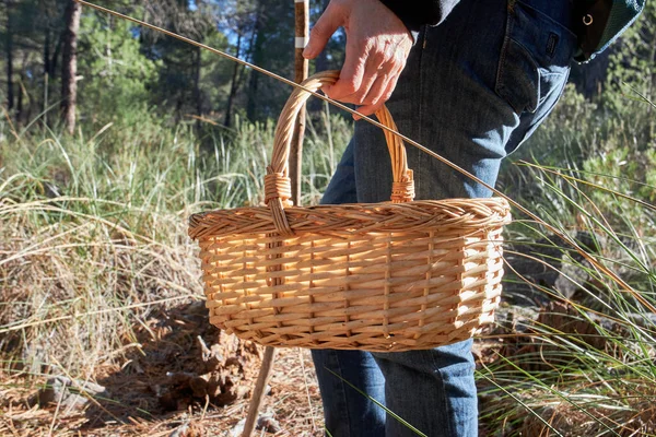 Woman carrying basket to catch mushrooms in the field