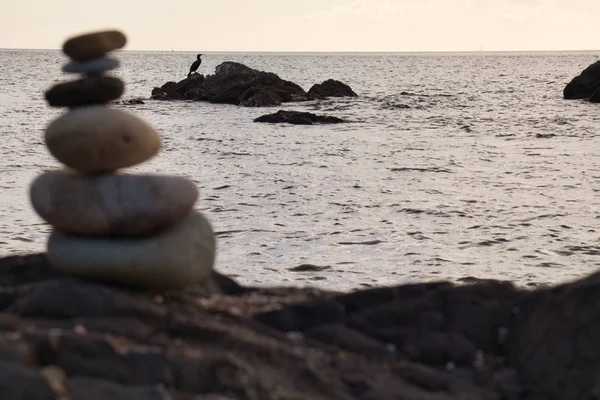 Formation stones zen style, in the background on a rock in the sea a bird
