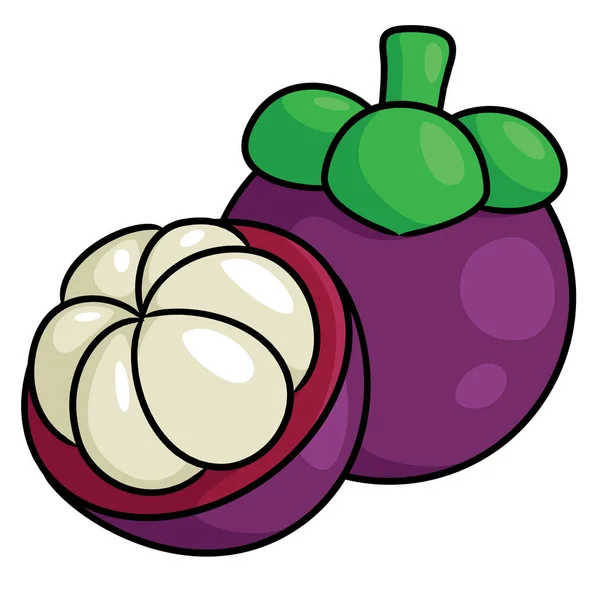 Mangosteen bonito desenhos animados — Vetor de Stock