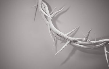 Yakın Crown of Thorns up 3d render boş alan