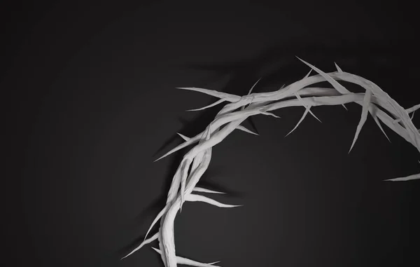 Close up Crown of Thorns 3D Rendering Empty Space Dark Backgroun — Stock Photo, Image