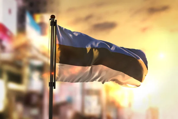 Флаг Эстонии на фоне размытого фона города на восходе солнца — стоковое фото