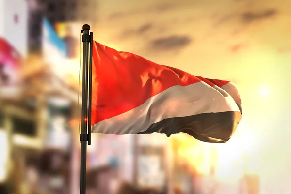 Kepangeranan Sealand Bendera Melawan Kota Blurred Latar Belakang Di — Stok Foto