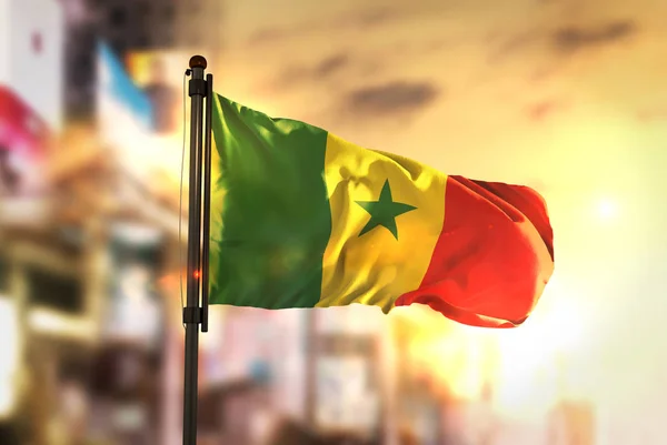 Senegal Flag Against City Blurred Background At Sunrise Backligh — Stock Photo, Image