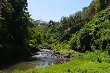 Bali 'nin güzel doğası