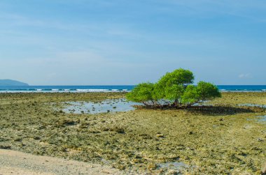 Low tide on the beach. Gili Trawangan