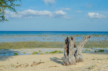 Gili Trawangan. Low tide at sea