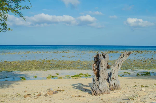 Gili Trawangan 。海上低潮 — 图库照片