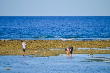 Gili Trawangan 'da kabuklu deniz ürünleri toplayıcıları