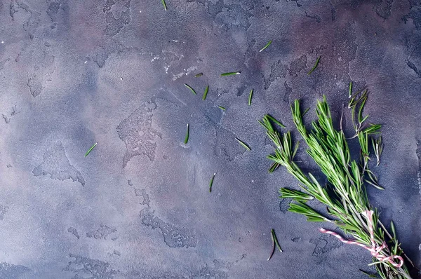 Bunch of fresh green rosemary — Stock Photo, Image