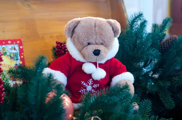 Urso de pelúcia de Natal em galhos de árvore — Fotografia de Stock