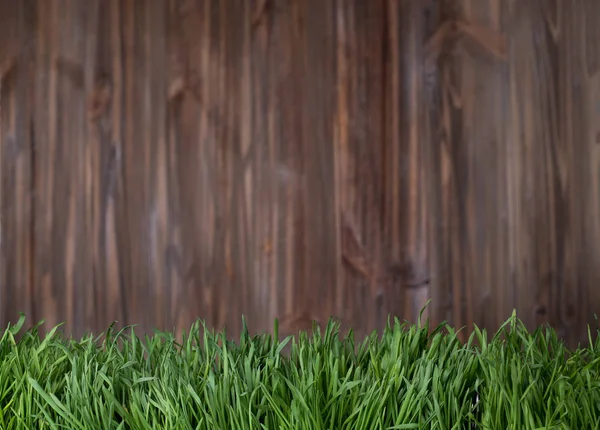 Zielona trawa na tle drewna. — Zdjęcie stockowe