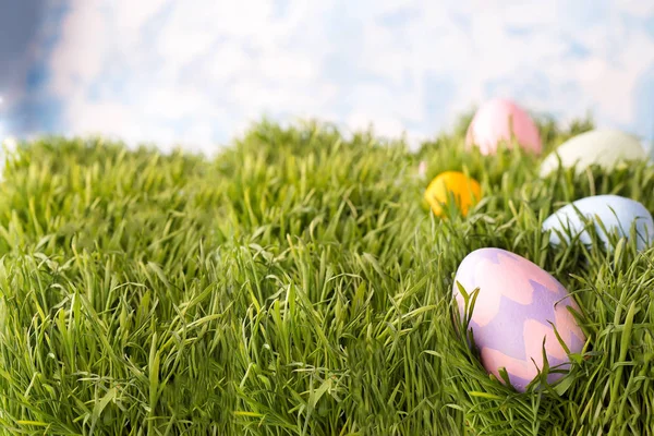 Verzierte Ostereier im Gras — Stockfoto