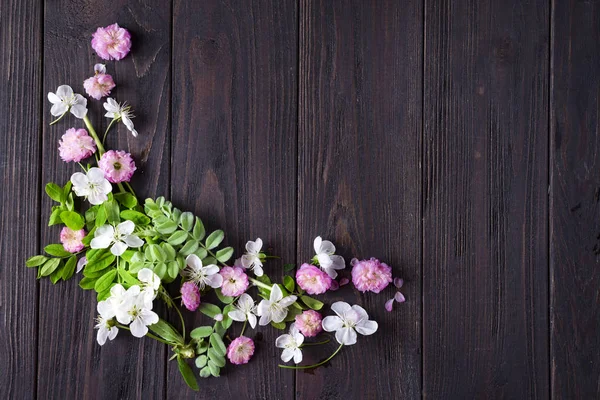 Quadro de belas flores — Fotografia de Stock