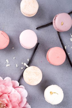 Tatlı pastel macaroons