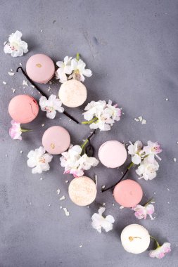 Tatlı pastel macaroons