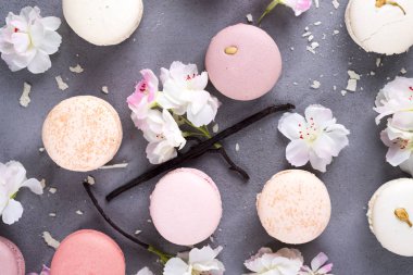 Tatlı pastel macaroons