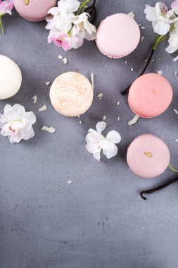 Tatlı pastel macaroons