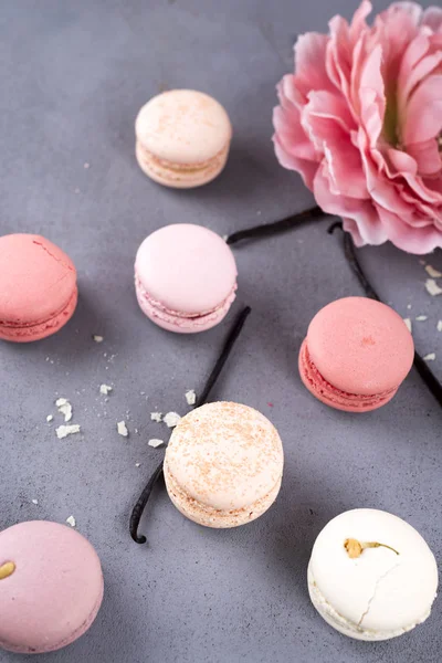 Macarons pastel doux — Photo