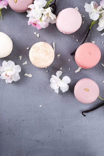 Tatlı pastel macaroons