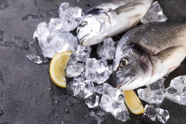 Buzda taze balık