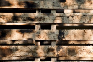 eski panel ahşap arka plan