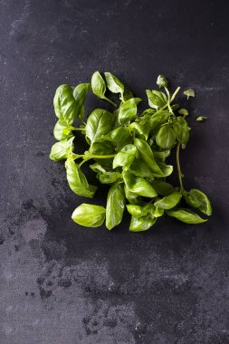 Ahşap kutusunda taze fesleğen