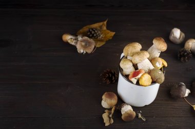 Mantarlı sonbahar Kupası