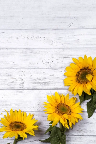 Ayçiçeği ile çerçeve