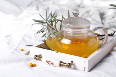 Deniz topalak ile cam çaydanlık