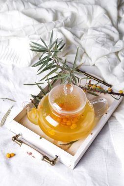 Deniz topalak ile cam çaydanlık