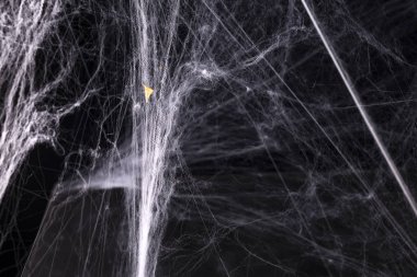 Cadılar Bayramı, dekorasyon ve korku kavramı