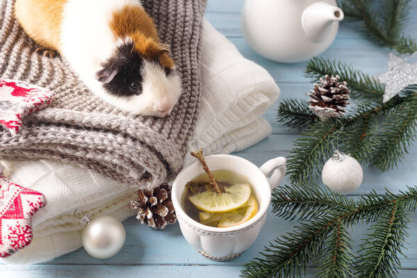 New years eve hamster with red balloons