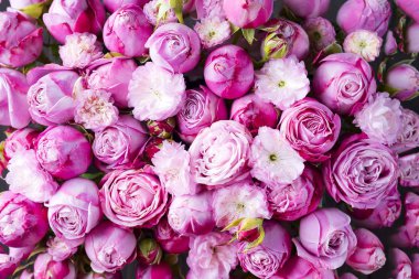 arka plan pembe Gül