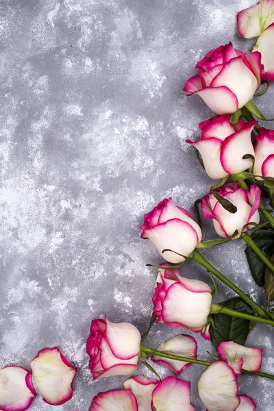 Beautiful rose flowers on gray stone table. Floral border.