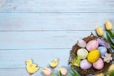 Güzel e Lale yuvaya mavi ahşap arka plan üzerinde renkli yumurta ile