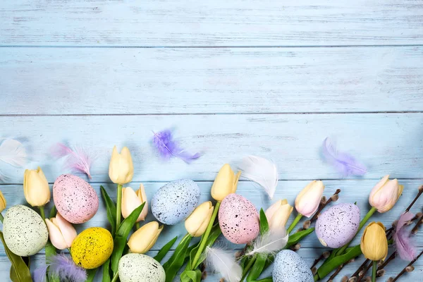 Tulpenrand mit Zweigen der Robbe und bunten Eiern auf blauem Holzgrund — Stockfoto