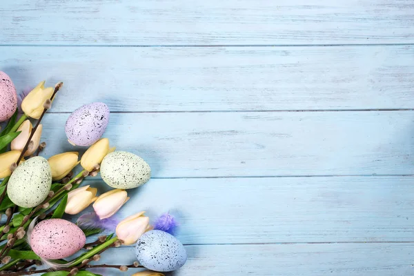 Tulpenrand mit Zweigen der Robbe und bunten Eiern auf blauem Holzgrund — Stockfoto