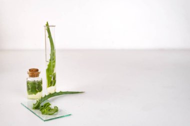 Cam şişe ile yağda aloe vera aloe vera jel dilimlenmiş