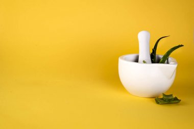 Aloe vera yaprağı, beyaz harç tam kıyılmış aloe ve aloe jeli veya infüzyon şişe.