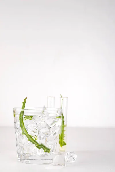 Fresh aloe vera leaves and aloe vera juice in glass on white background — Stock Photo, Image