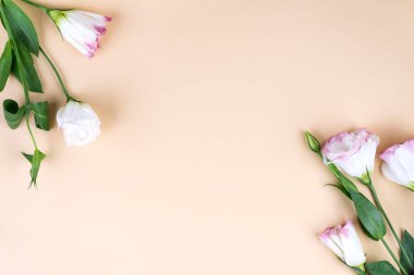 Merkezinde pembe Eustoma 'dan yapılmış boş bir boşluk olan çerçeve kompozisyonu düz yatıyordu. Bej arka planda çiçekli dekoratif köşeler.